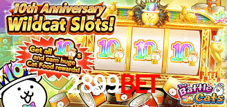 2899bet